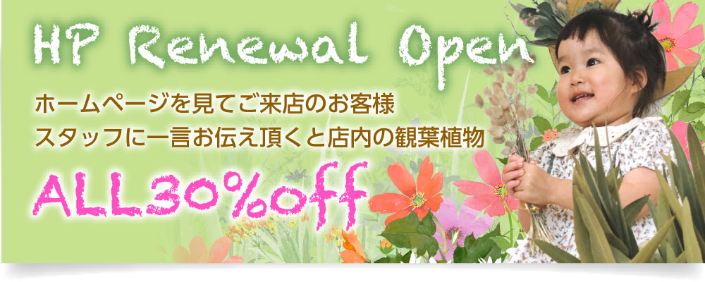 北九州市小倉南区のお花屋さん メダカ専門店 フラワーブルーム